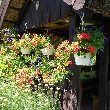 Semesterbostad Daisy 2 By Interhome *